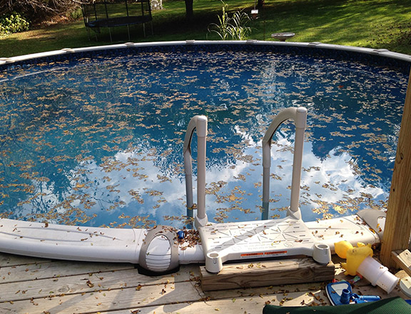 swimming pool requiring maintenance